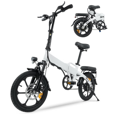 electric bike with a load capacity of 265 pounds