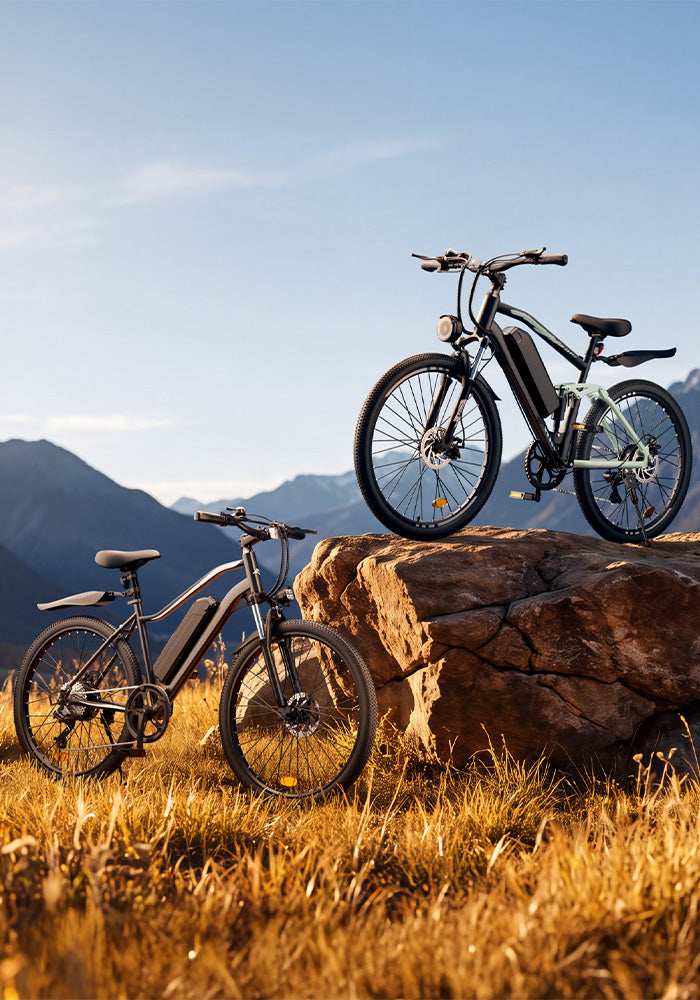 Vertical photo of a light-colored electric bike on a rock ledge and a dark electric bike in a golden grassy field.
