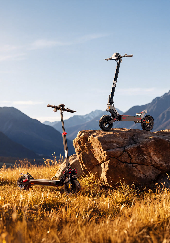 Vertical autumn photo of two electric scooters in a grassy field with mountains.