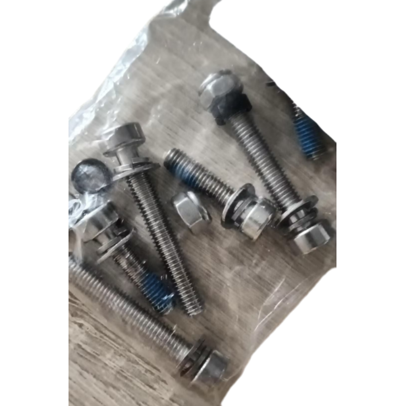 iX4 rear shock absorber screw set (with fixing nut) (one long and one short)