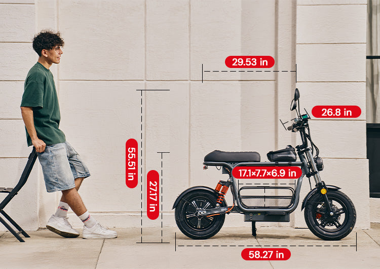 DX5 size and dimensions
