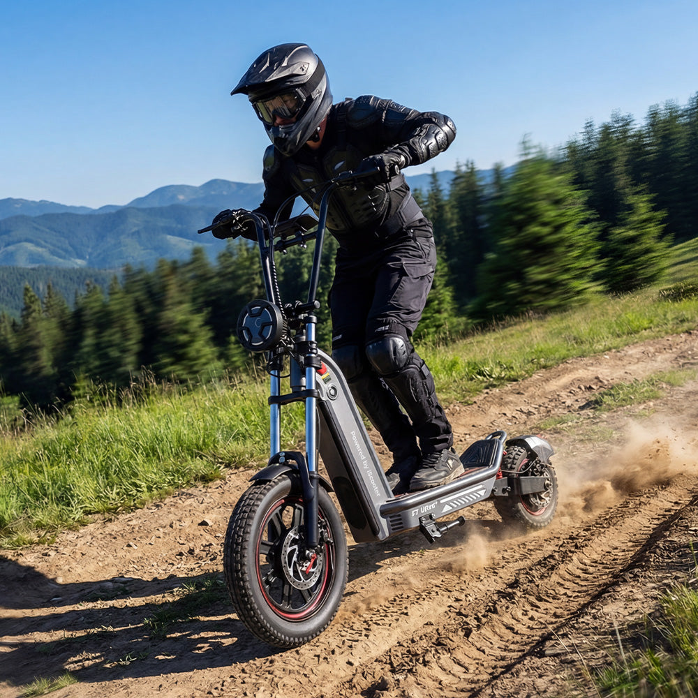 iScooter i9/i8 Electric Scooter