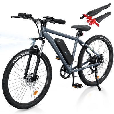 M10 Electric Mountain Bike