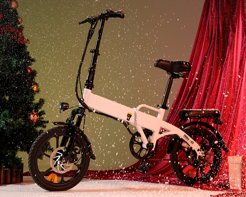 Folding Electric Bike