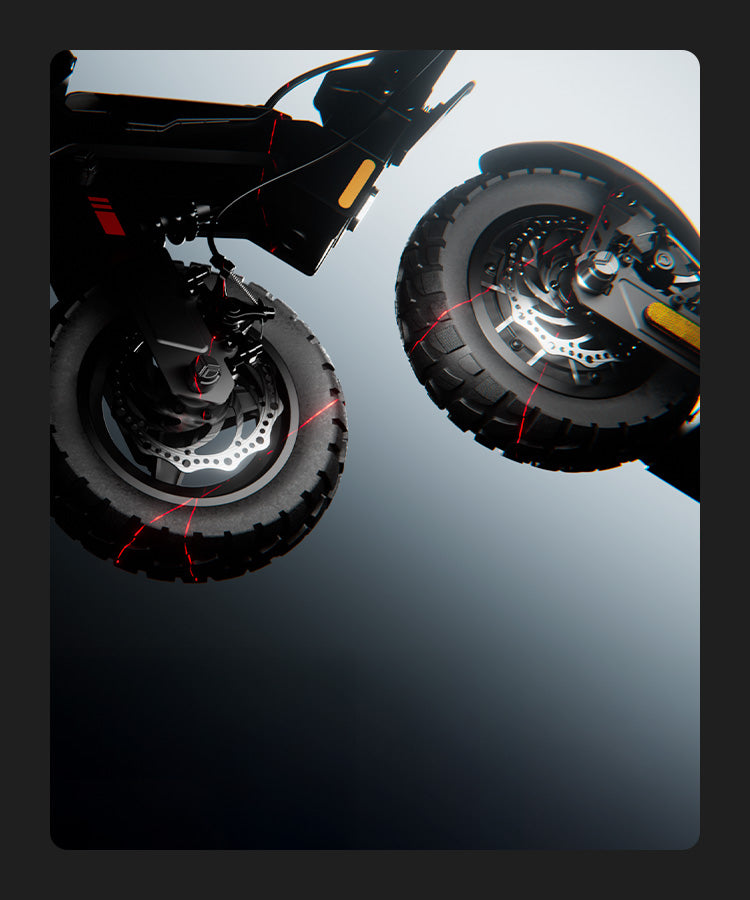 Dual Disc Brakes