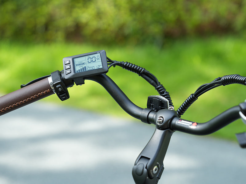 Battery Charge Time 2~3 hours electric bike Integrated LCD Display