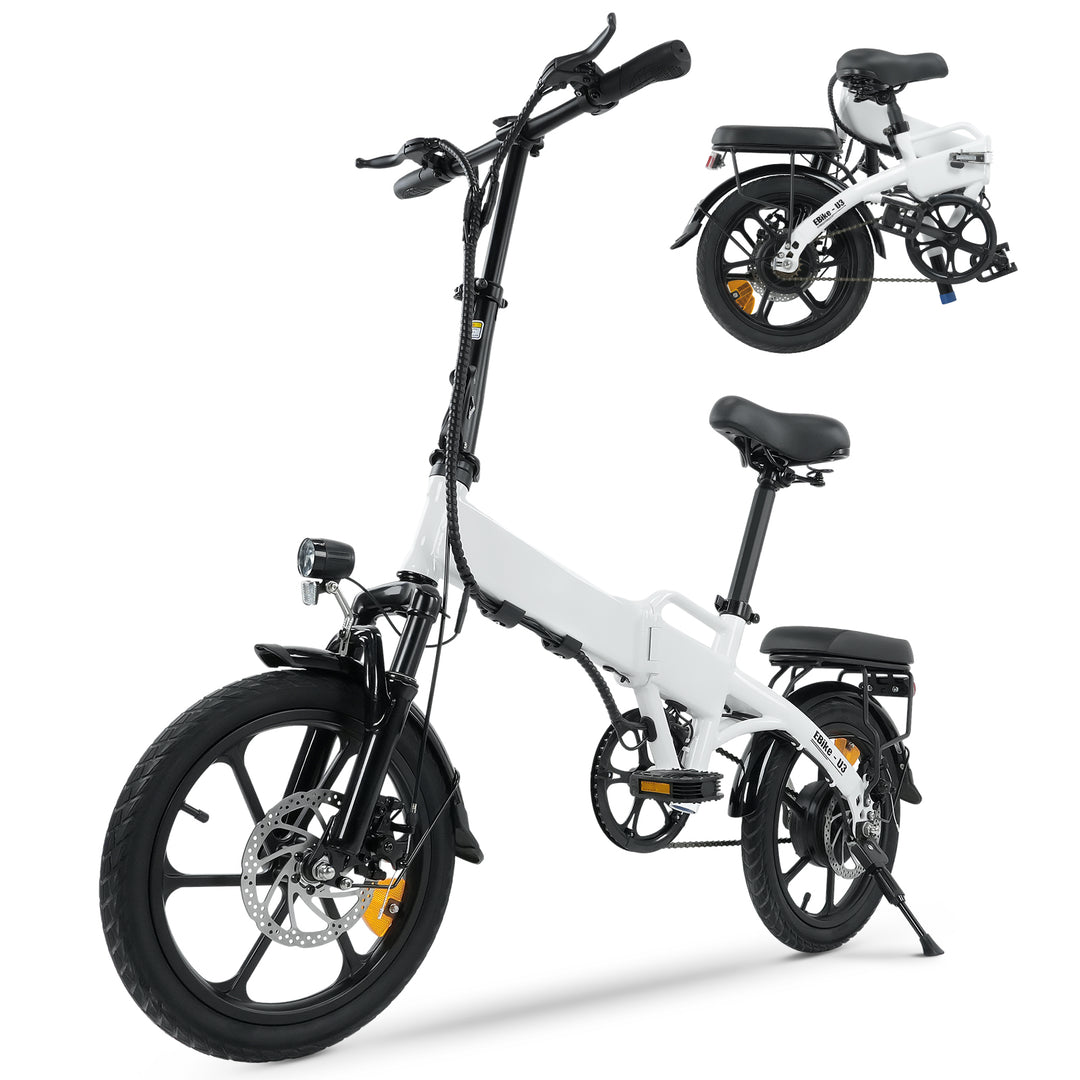 Folding Electric Bike