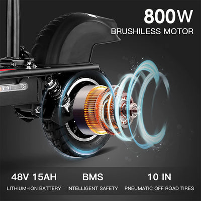 Powerful 800W motor